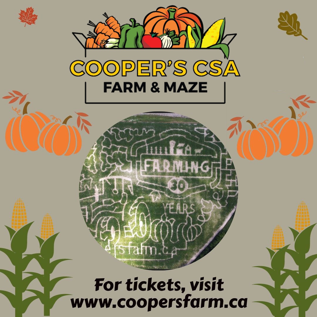 Coopers Farm n Maze